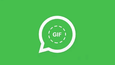 WhatsApp tiene una función para crear GIFs. WhatsApp tiene una función para crear GIFs.
