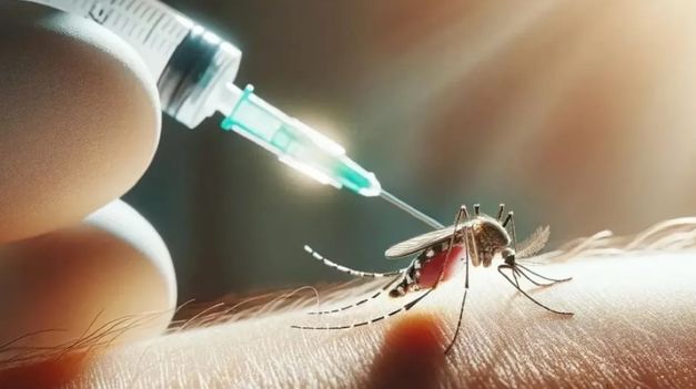 Se confirmó el primer caso de dengue en la provincia de Buenos Aires en la temporada