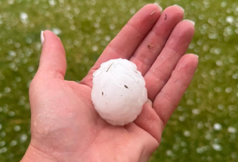 Los cordobeses se volcaron a las redes sociales para mostrar las consecuencias de la granizada.