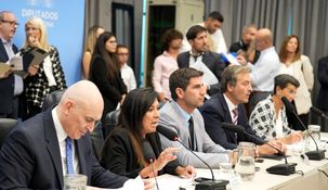 El plenario de comisiones por la modificación del régimen penal juvenil terminó sin emitir despacho.