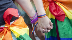 La justicia permite a las madres lesbianas reconocer legalmente a sus hijos no biológicos.