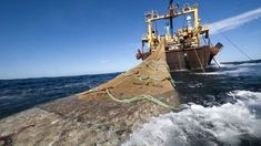 La Ley Ómnibus planteaba distintas modificaciones a la Ley Federal de Pesca.