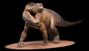 Shakajlura riojanensis es ancestro de los actuales cocodrilos.