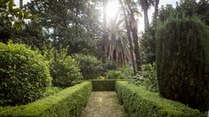 Este jardín tiene una gran variedad de plantas y árboles centenarios.