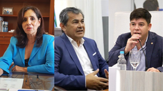 Competirán figuras reconocidas con perfiles nuevos.