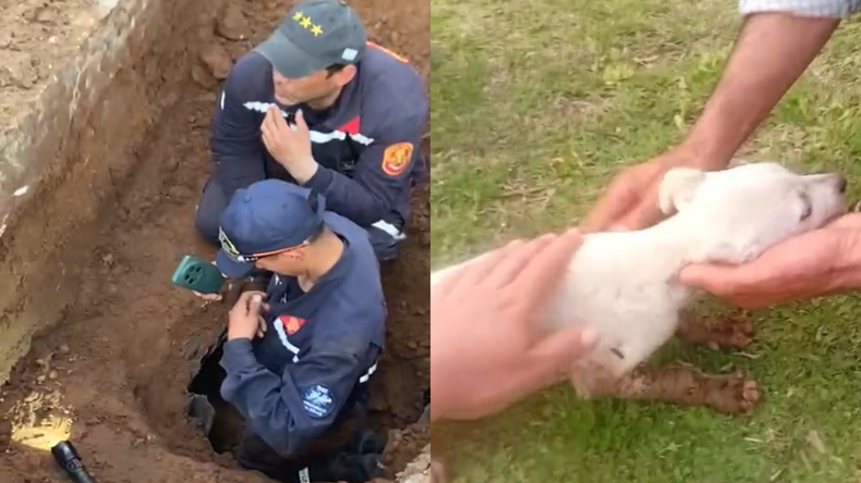 El trabajo de los bomberos fue en conjunto con el municipio. El trabajo de los bomberos fue en conjunto con el municipio.