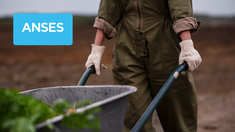 La Anses reemplazó Potenciar Trabajo por dos nuevos programas. La Anses reemplazó Potenciar Trabajo por dos nuevos programas.