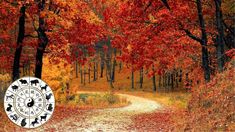 Llega el otoño y estos signos del horóscopo chino se verán sorprendidos. Llega el otoño y estos signos del horóscopo chino se verán sorprendidos.