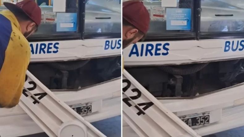 Escuchaba un ruido raro en el motor del colectivo