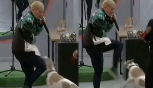 Furia golpeó a Arturo en tres ocasiones y piden su expulsión.