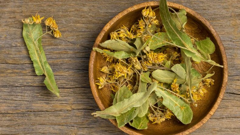 Esta situación impacta negativamente en la calidad de vida, el rendimiento diario y la salud general de quienes la padecen, generando una constante búsqueda de soluciones que permitan un descanso reparador y efectivo.