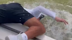 El tiburón mordió al pescador y lo arrastró al agua.
