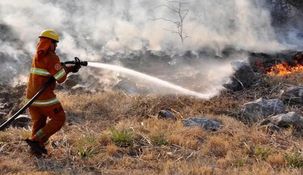 El objetivo es disminuir los impactos devastadores del fuego sobre los ecosistemas.
