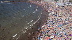 La Canasta de Verano aumentó un aumentó del 261% en el 2024 La Canasta de Verano aumentó un aumentó del 261% en el 2024