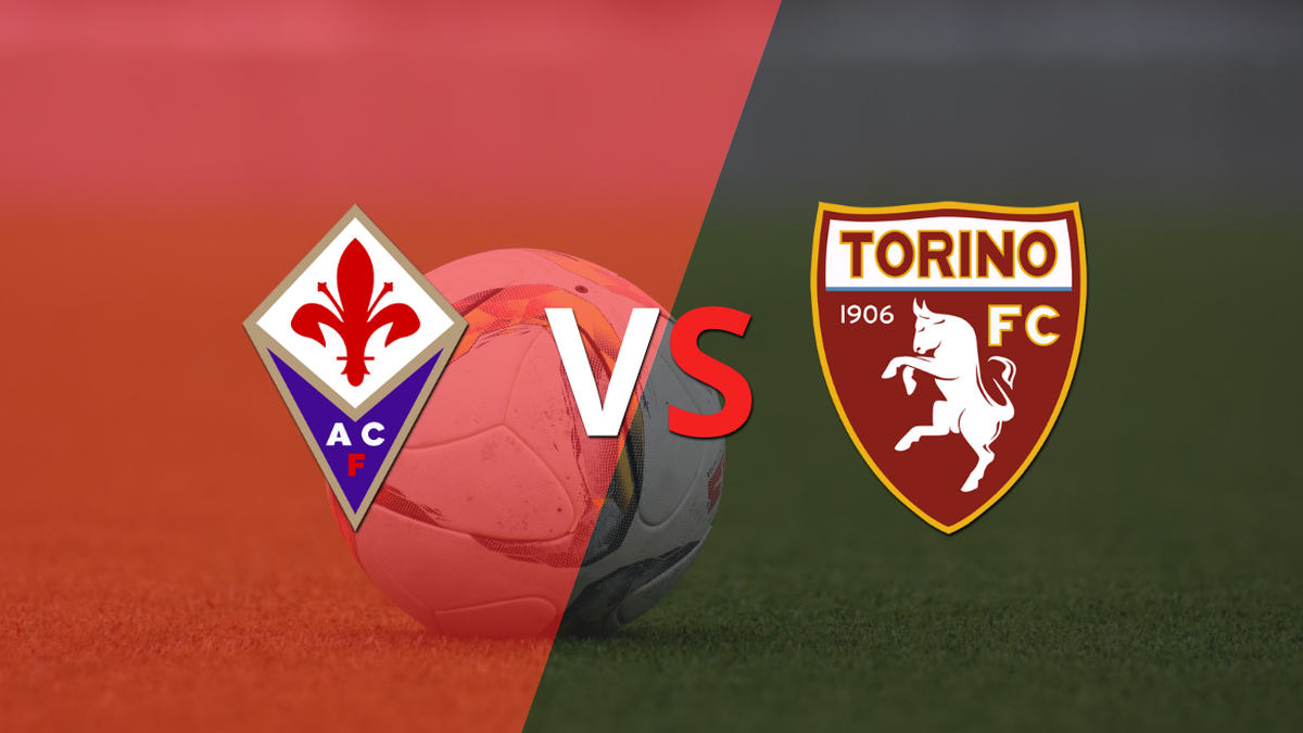 Fiorentina vs.  Datato 19 di Torino, Italia