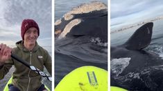 El joven subió las imágenes con las ballenas del 31 de agosto de 2022 y se hicieron viral en TikTok. El joven subió las imágenes con las ballenas del 31 de agosto de 2022 y se hicieron viral en TikTok.