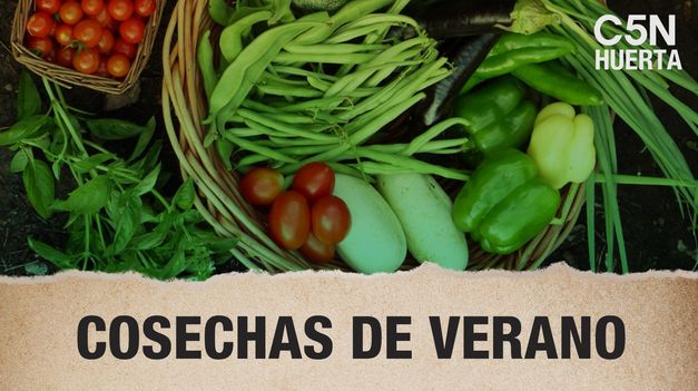 C5N | C5N Huertas: cosechas de verano