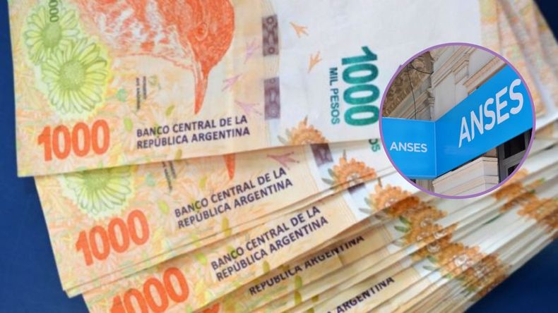 ANSES activa un nuevo en marzo.