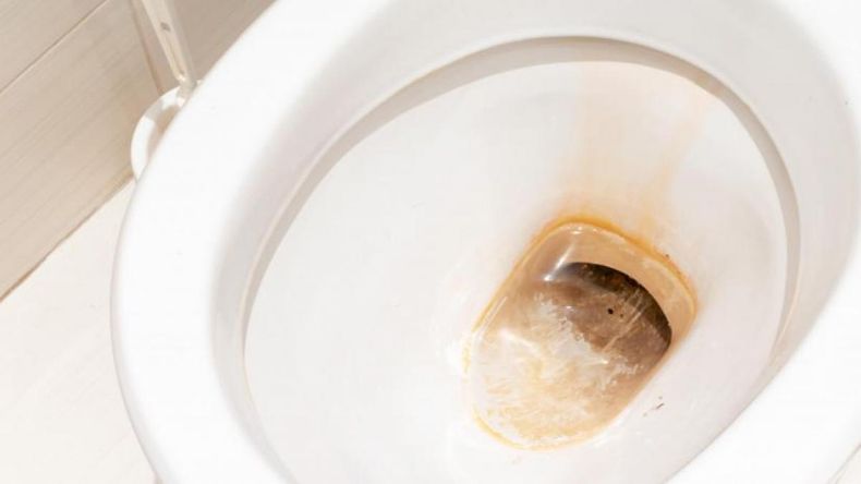 Cómo limpiar el baño 