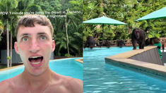 El encuentro con los monos acumuló millones de reproducciones. El encuentro con los monos acumuló millones de reproducciones.