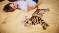 Su presencia tiene un impacto fisiológico positivo en el cuerpo humano. Su presencia tiene un impacto fisiológico positivo en el cuerpo humano.