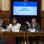 Agustín Coto en la comisión de Asuntos Constitucionales. Agustín Coto en la comisión de Asuntos Constitucionales.