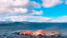 El incendio comenzó 17.30. El incendio comenzó 17.30.