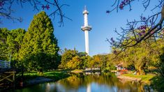 El fin de semana largo regala un clima primaveral en la Ciudad de Buenos Aires y sus alrededores. El fin de semana largo regala un clima primaveral en la Ciudad de Buenos Aires y sus alrededores.