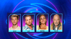 Los monitos competirán contra Alfa por la salvación. Los monitos competirán contra Alfa por la salvación.