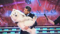 El show de Marcelo Tinelli con el perro de Flavio Mendoza, que debutó como jurado El show de Marcelo Tinelli con el perro de Flavio Mendoza, que debutó como jurado