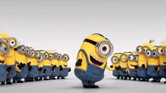 Minions Minions