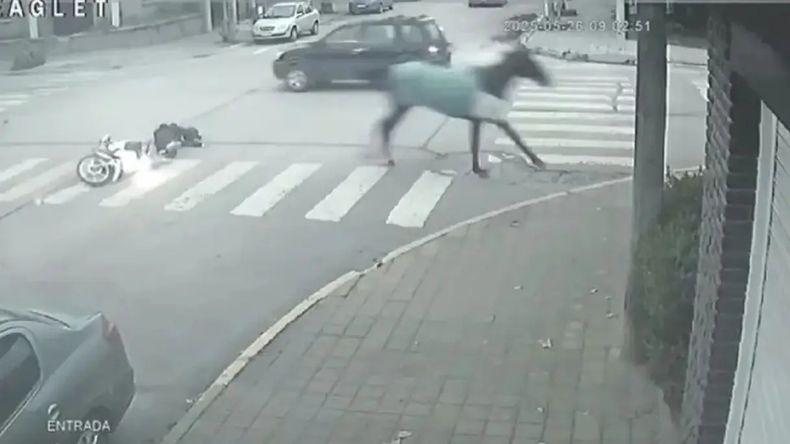 Un caballo embistió a una mujer en moto y quedó internada.