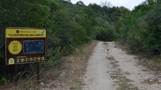 En Córdoba hay una reserva natural para hacer caminatas sencillas y disfrutar de cascadas. En Córdoba hay una reserva natural para hacer caminatas sencillas y disfrutar de cascadas.