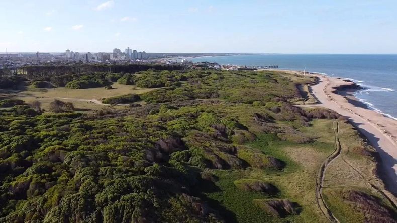El Bosque Energético y el Vivero Municipal son dos de los atractivos naturales más visitados en temporada.