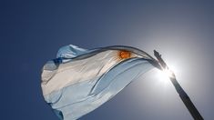 El perro español que conquistó a todos los argentinos en las redes