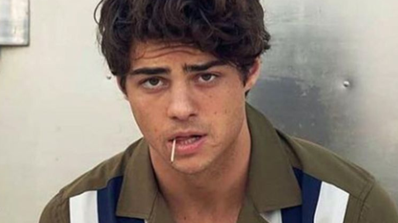 Protagonizada por Noah Centineo, El Novato se convirtió en una de las series más elegidas de Netflix gracias a su historia ágil y personajes complejos.