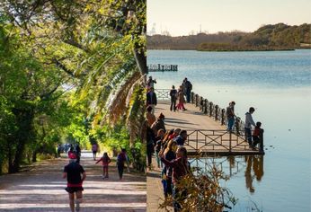 Paseo natural en Buenos Aires. Paseo natural en Buenos Aires.
