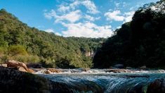 Dentro de esta localidad salteña, se encuentra una Reserva Natural y aguas termales Dentro de esta localidad salteña, se encuentra una Reserva Natural y aguas termales