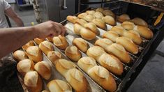 Panaderos por una crisis sin precedentes: Nos estamos fundendo Panaderos por una crisis sin precedentes: Nos estamos fundendo