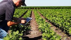 ganancia versus sustentabilidad: ¿una excluye a la otra?