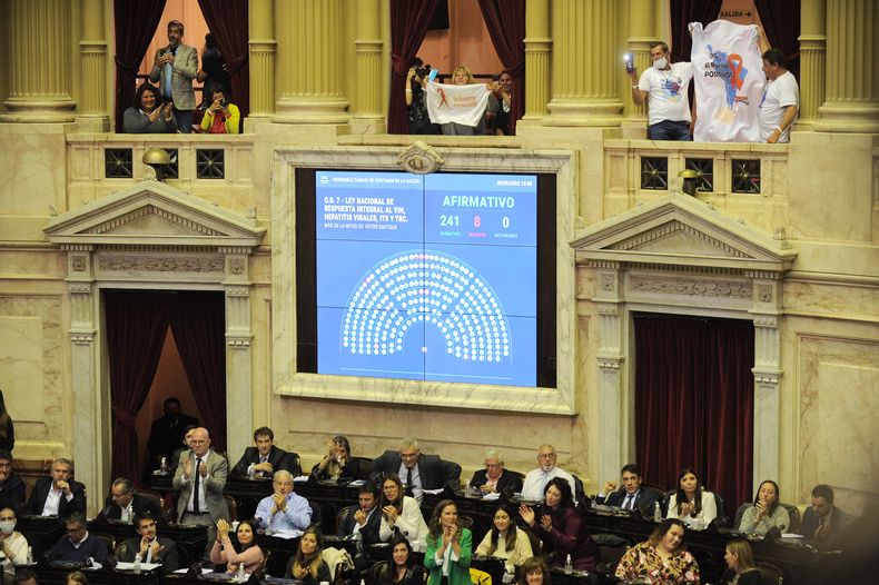 Solo ocho diputados votaron en contra de la ley de VIH