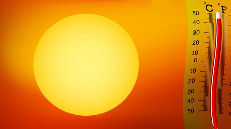 La Universidad de Harvard brinda un plan con recomendaciones a tener en cuenta para las altas temperaturas que están haciendo en todo el mundo.