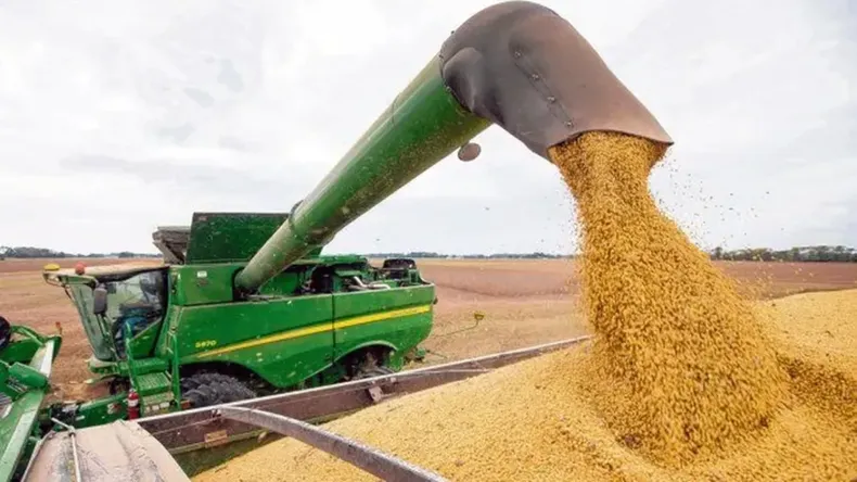 Massa anunció retenciones cero para economías regionales con valor agregado industrial.