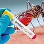 Brasil es el país americano con más casos de dengue.