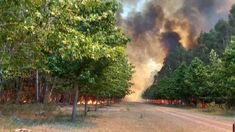 Los principales focos se originaron por la fuerte sequía de la zona. Los principales focos se originaron por la fuerte sequía de la zona.