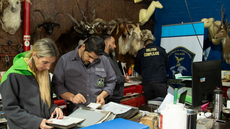 Se secuestraron diversos trofeos de caza de la fauna silvestre.