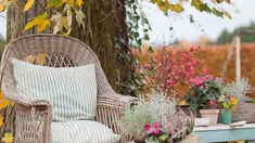 Ssegún estudios de la Administración Nacional de Aeronáutica y el Espacio (NASA), hay una planta que no solo embellece tu jardín, sino que reduce el 73% de las sustancias cancerígenas. Ssegún estudios de la Administración Nacional de Aeronáutica y el Espacio (NASA), hay una planta que no solo embellece tu jardín, sino que reduce el 73% de las sustancias cancerígenas.