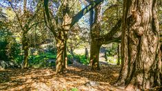 Es un destino turístico natural y encantador en la provincia de Córdoba. Es un destino turístico natural y encantador en la provincia de Córdoba.