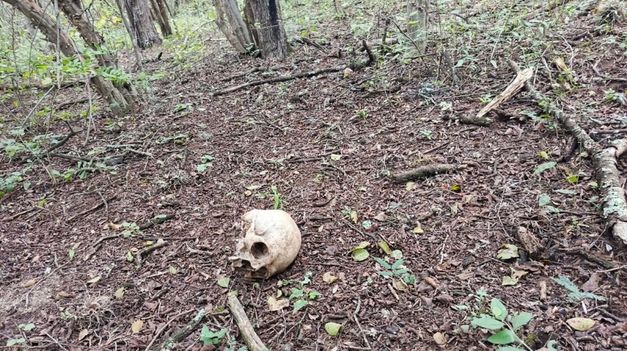 Los restos encontrados en Salta.