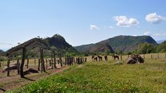 El hermoso destino de Salta para conocer. El hermoso destino de Salta para conocer.